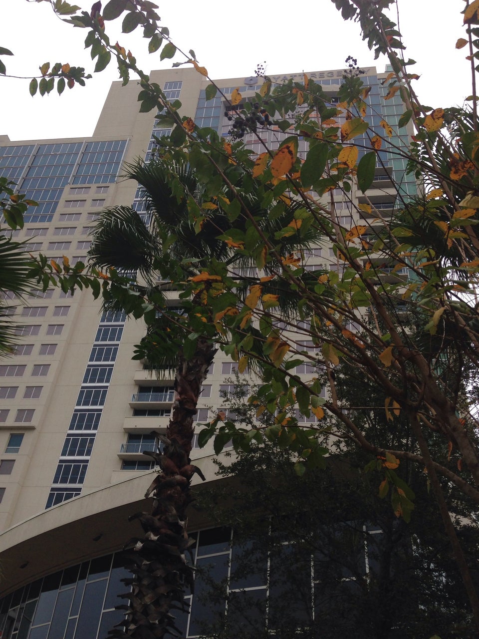 Photo of Hyatt Regency Orlando