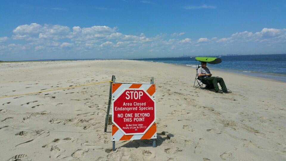 Gunnison Beach Sandy Hook Photos Gaycities New York