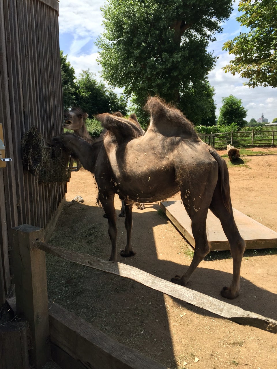 Photo of ZSL London Zoo