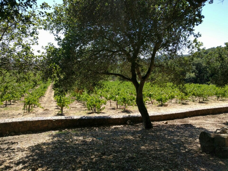 Photo of Bartholomew Estate Winery