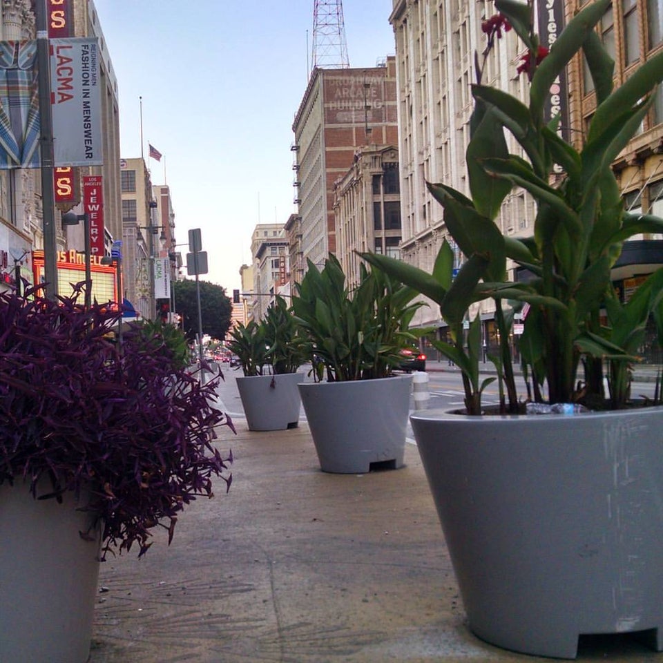 Photo of Orpheum Theatre