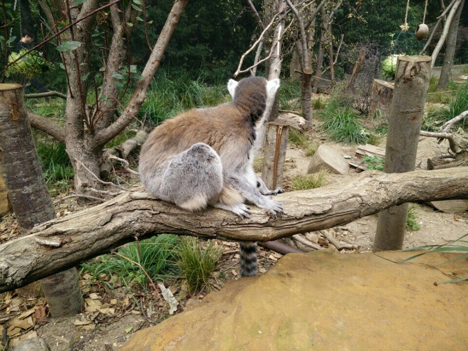 Photo of ZSL London Zoo