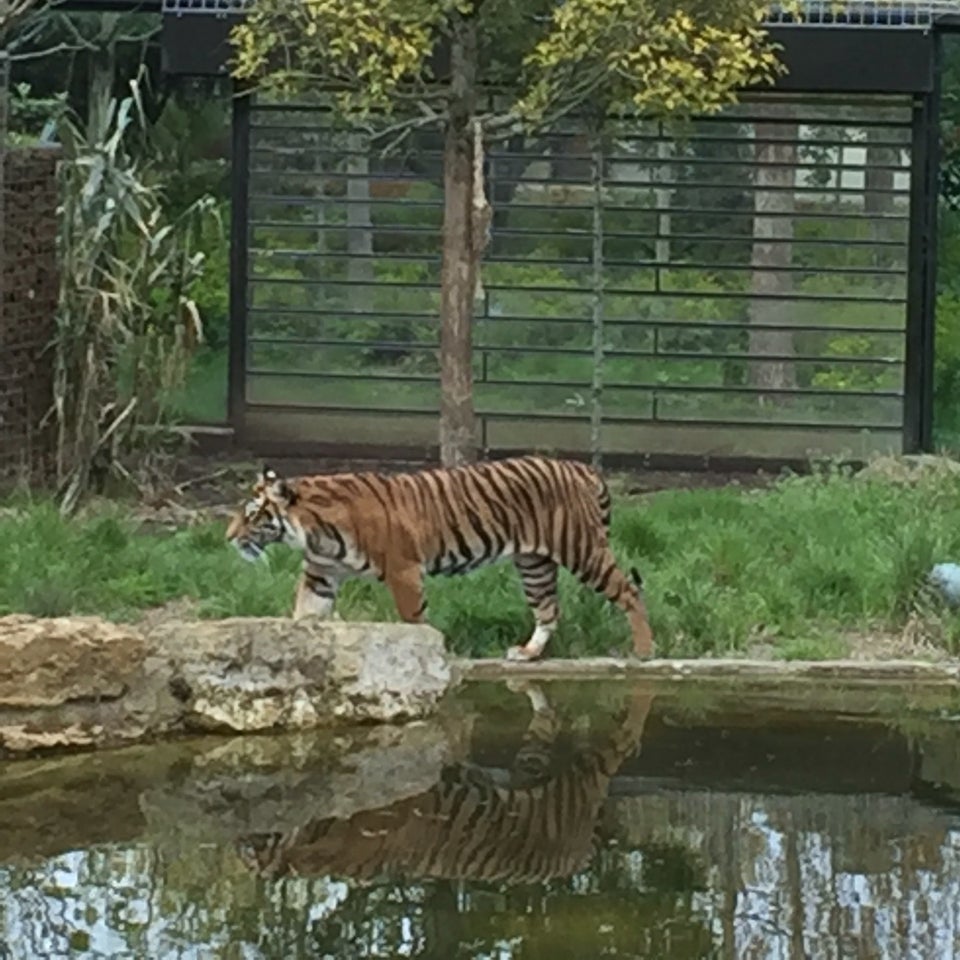 Photo of ZSL London Zoo