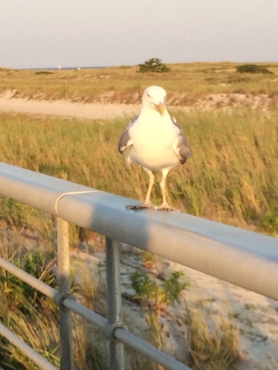 Photo of Jones Beach