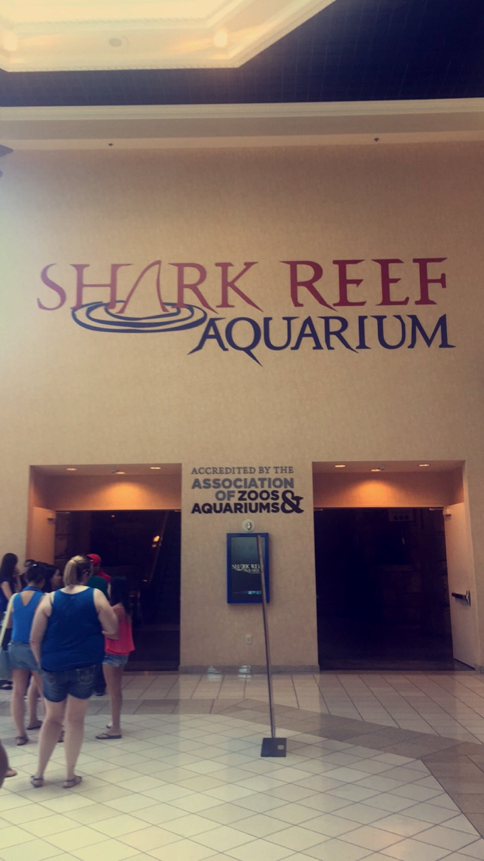 Photo of Shark Reef