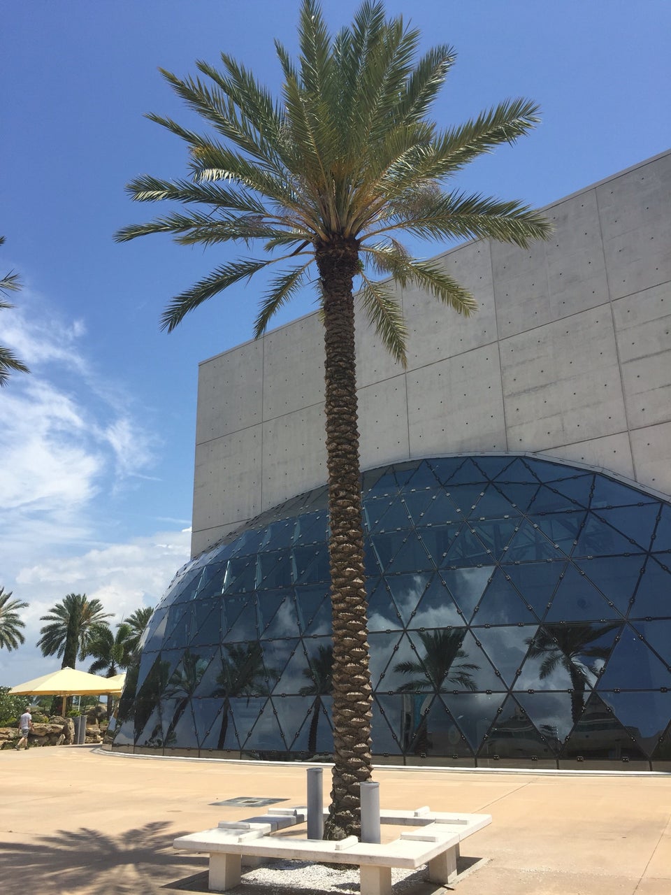 Photo of The Dali Museum