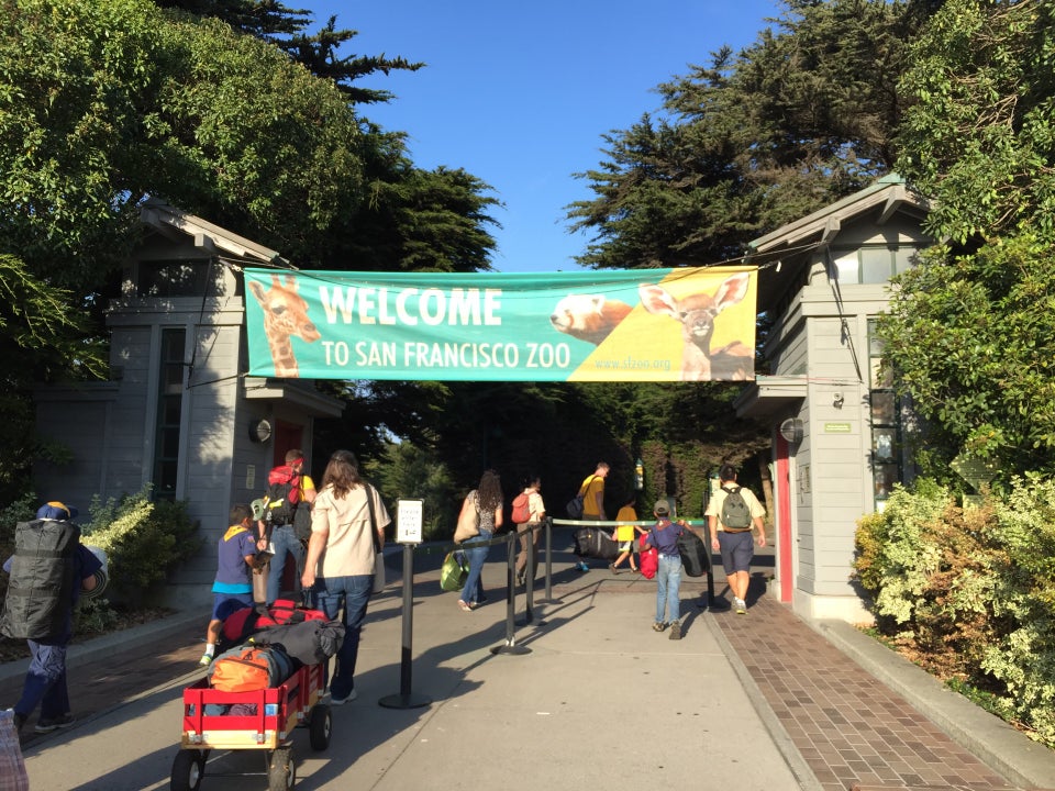 San Francisco Zoo Photos - GayCities San Francisco
