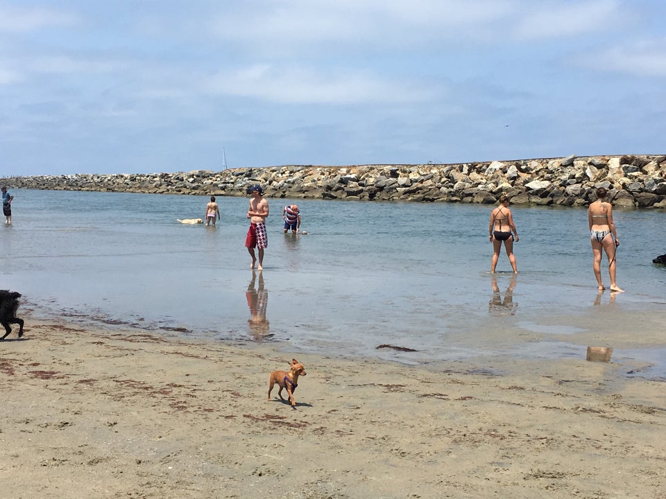 Photo of Ocean Beach