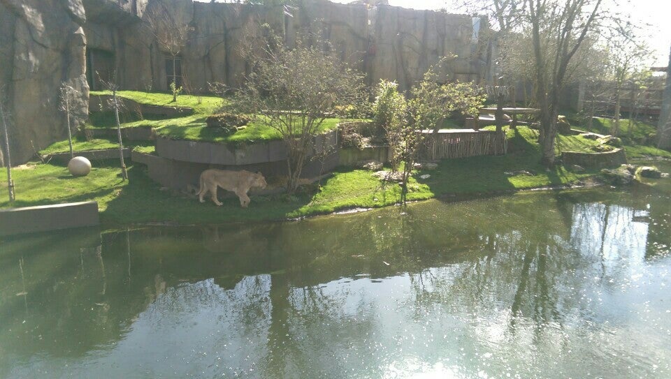 Photo of ZSL London Zoo