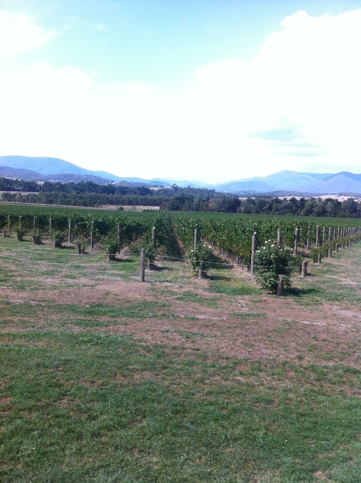 Photo of Dancing Kangaroo Tours - Private & Public Yarra Valley Wine Tours