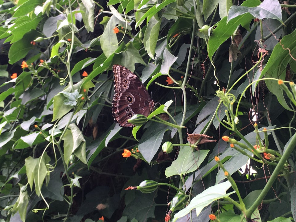 Photo of ZSL London Zoo