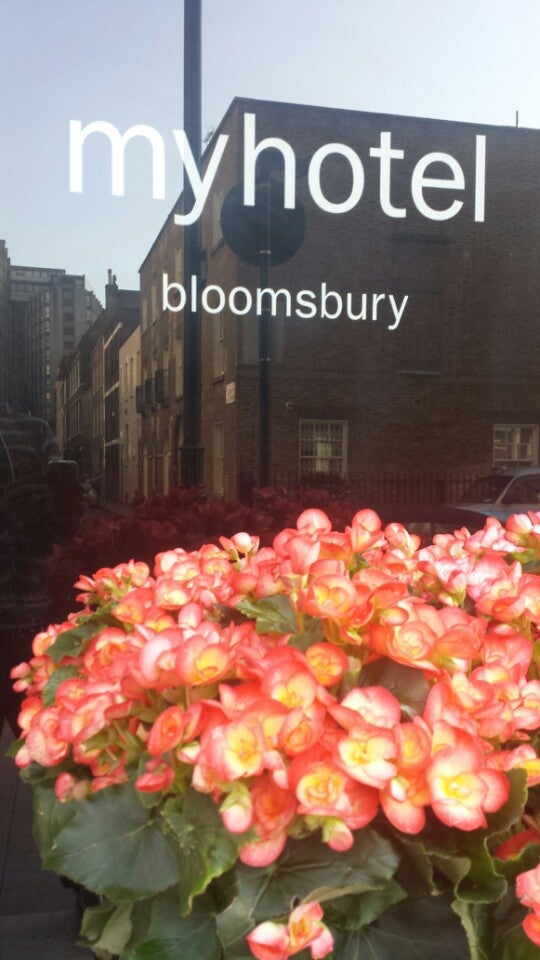Photo of My Bloomsbury