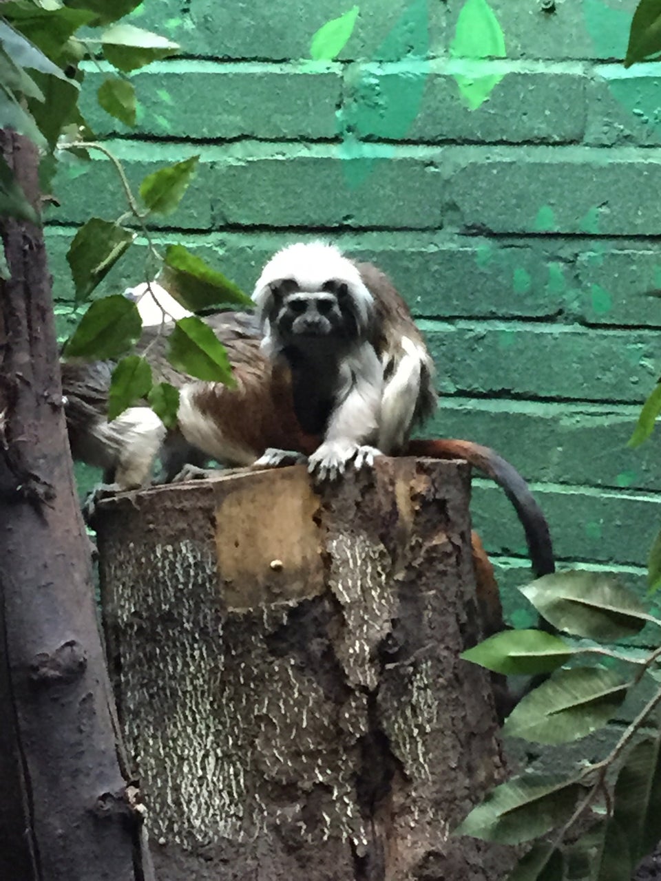 Photo of ZSL London Zoo