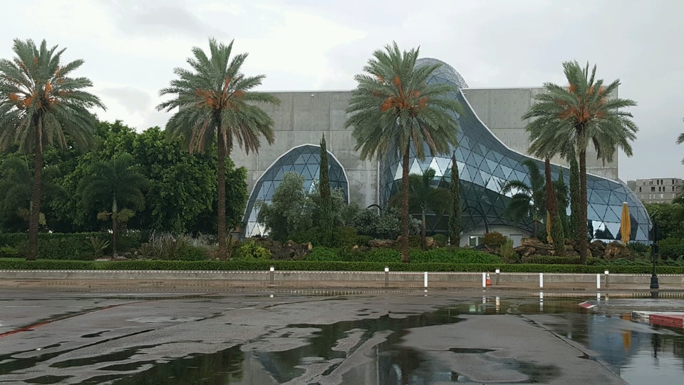 Photo of The Dali Museum