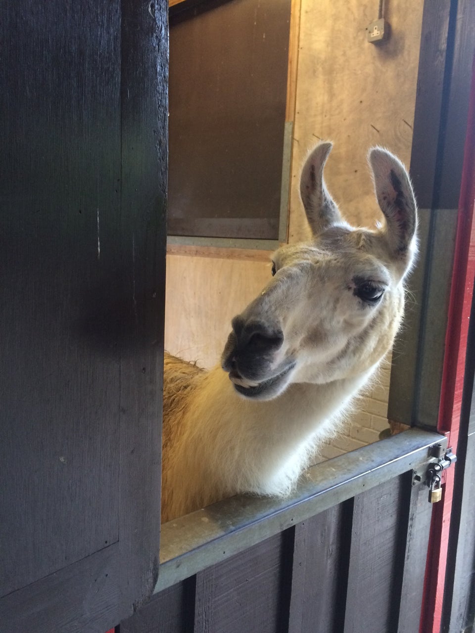 Photo of ZSL London Zoo