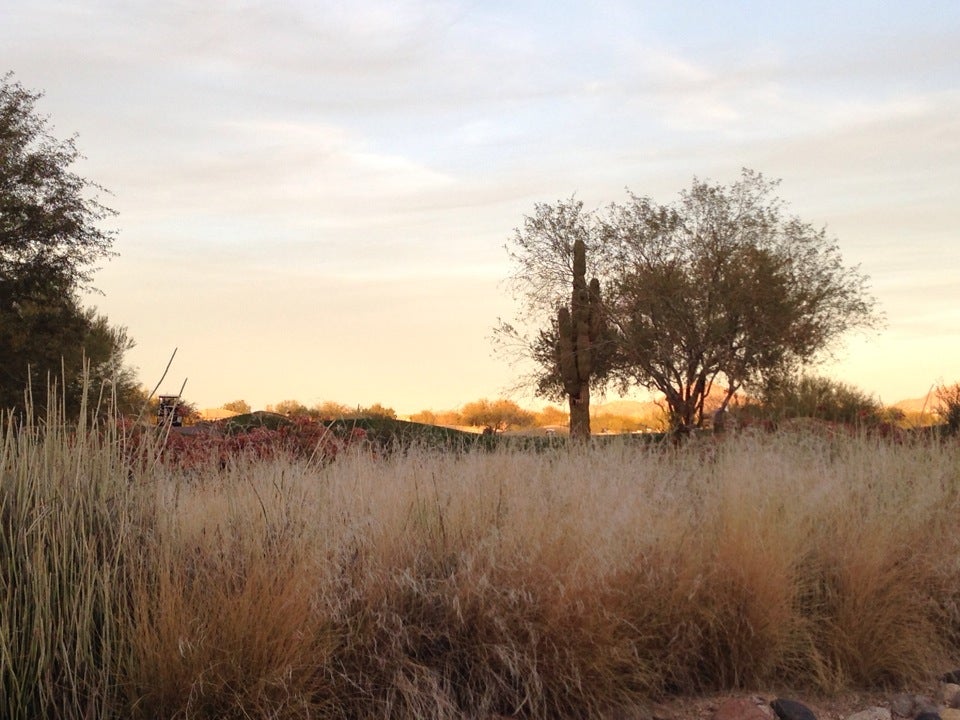 Photo of JW Marriott Desert Ridge Resort & Spa