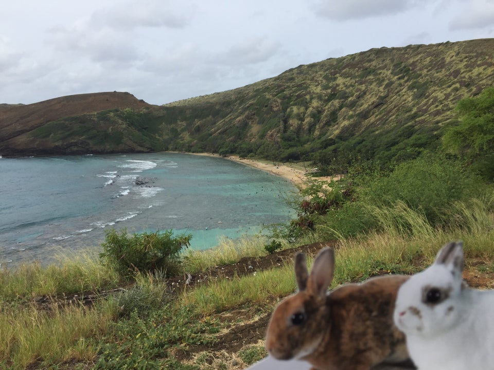 Photo of Hanauma Bay Nature Preserve