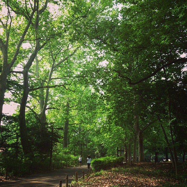 Rinshi No Mori Park