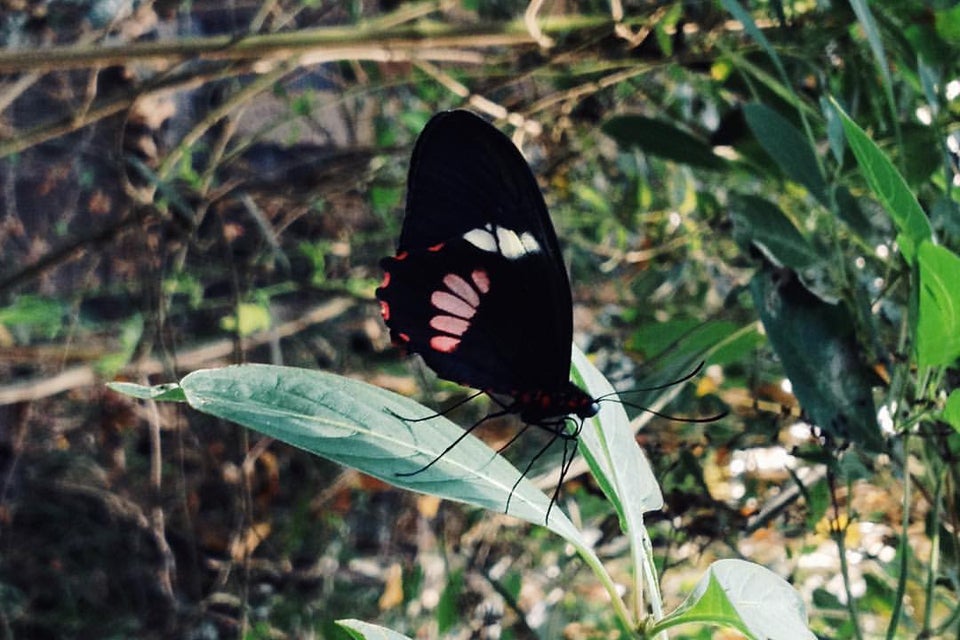 Photo of ZSL London Zoo