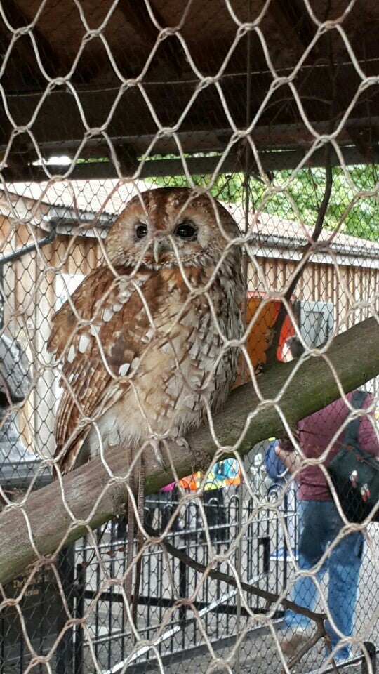 Photo of ZSL London Zoo