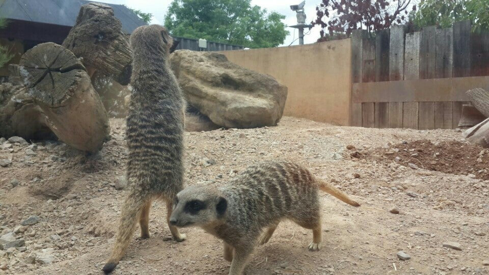 Photo of ZSL London Zoo