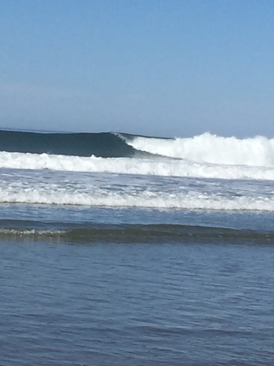 Photo of Black's Beach