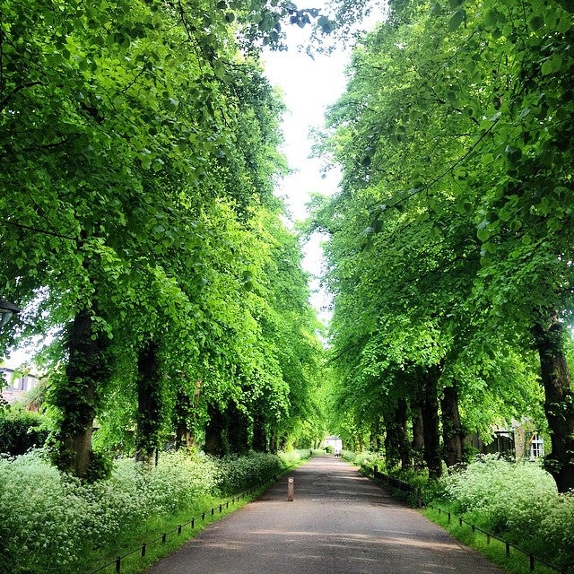 Photo of Chiswick House and Gardens