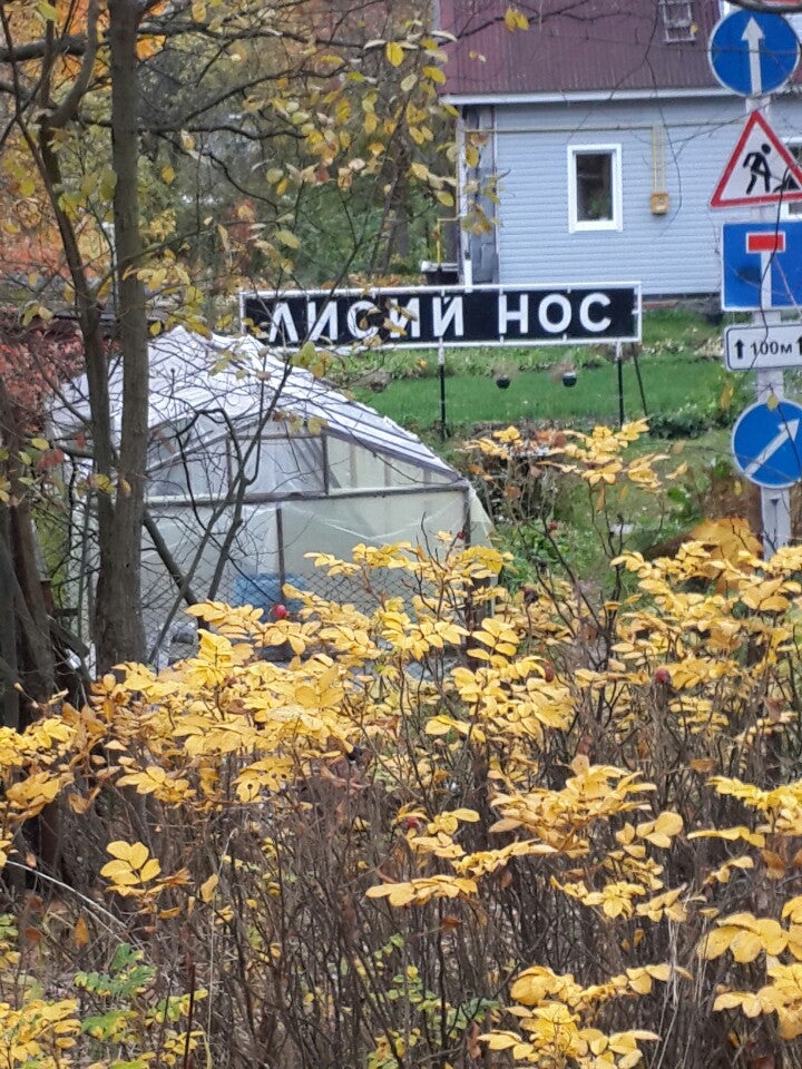 Лисий Нос Санкт Петербург Фото