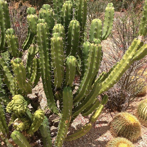 Photo of JW Marriott Desert Ridge Resort & Spa