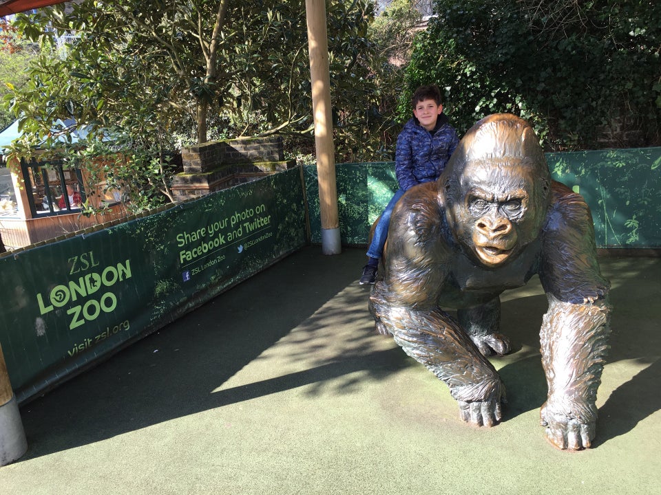 Photo of ZSL London Zoo