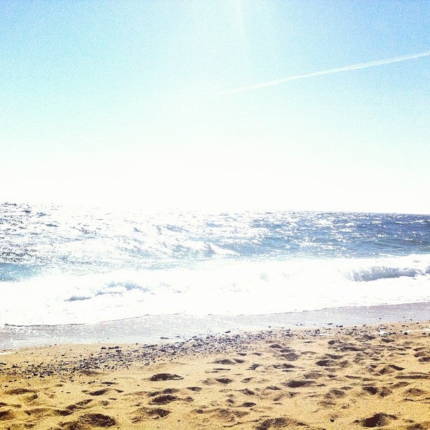 Photo of Herring Cove Beach