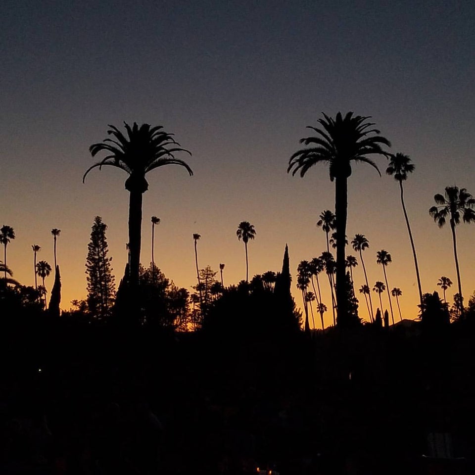 Photo of Hollywood Forever Cemetery