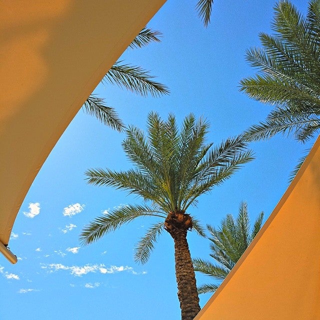 Photo of JW Marriott Desert Ridge Resort & Spa