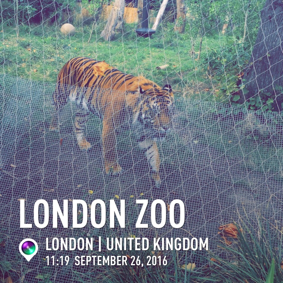 Photo of ZSL London Zoo