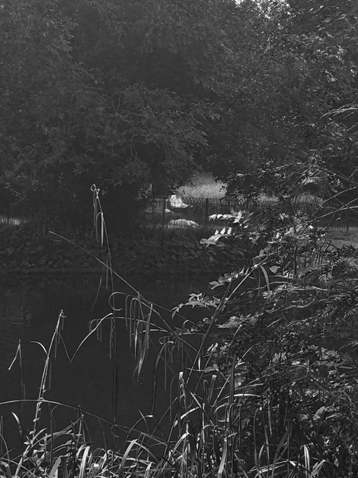 Photo of Chiswick House and Gardens