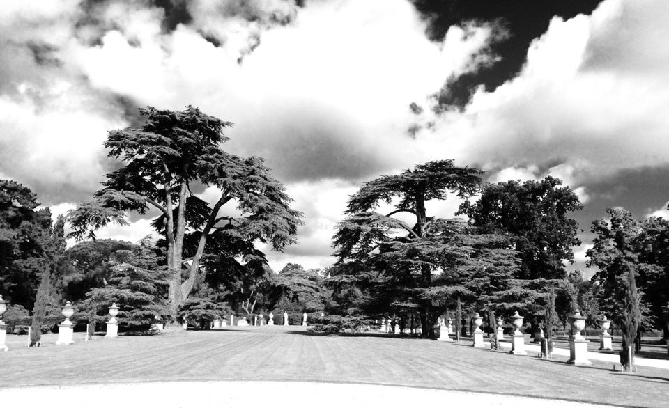 Photo of Chiswick House and Gardens