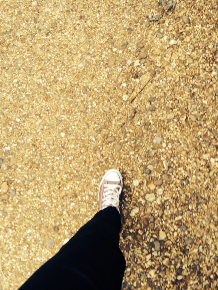 Photo of Chiswick House and Gardens