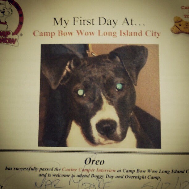 Photo of Camp Bow Wow Long Island City