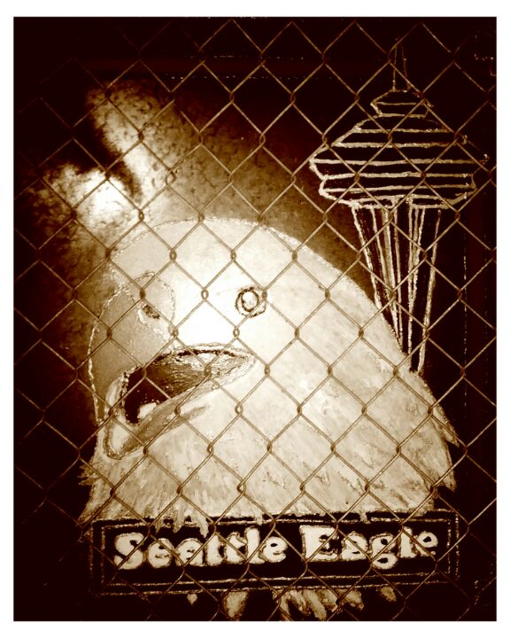 Photo of Seattle Eagle
