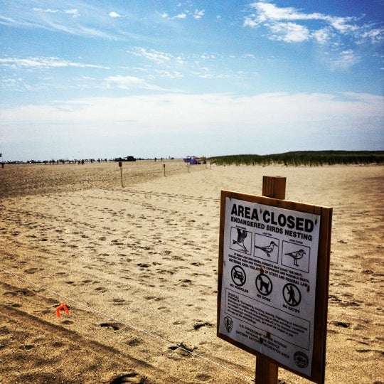 Gunnison Beach (Sandy Hook) Photos - GayCities New York City