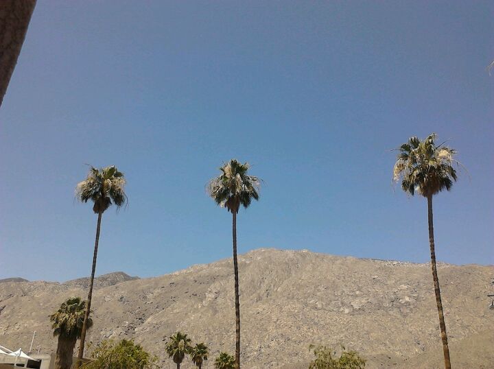 Photo of QUADZ Palm Springs