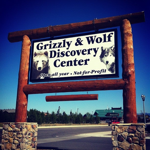Grizzly And Wolf Discovery Center