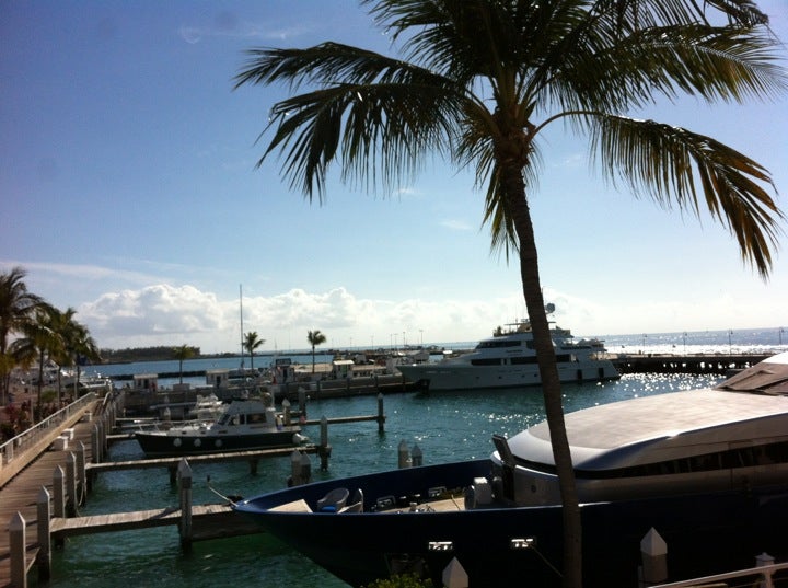 Photo of Margaritaville Resort and Marina