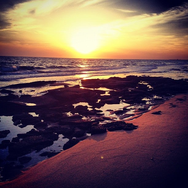 Photo of Herring Cove Beach