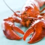 Devon Seafood Devon Seafood
