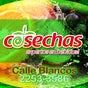 Cosechas Cosechas