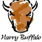 HARRY BUFFALO HARRY BUFFALO